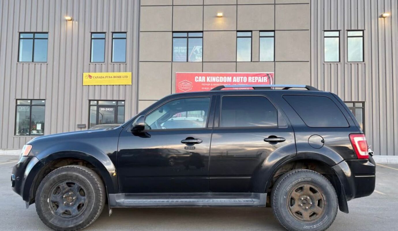 2011 Ford Escape Limited